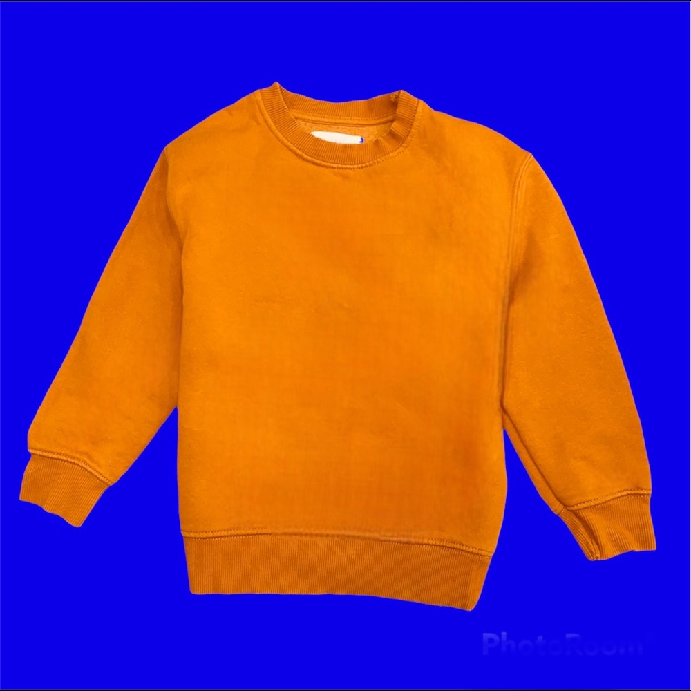 NWT ZARA Sweatshirt Kids Pullover Sweater Boys Girls Toddler Gift